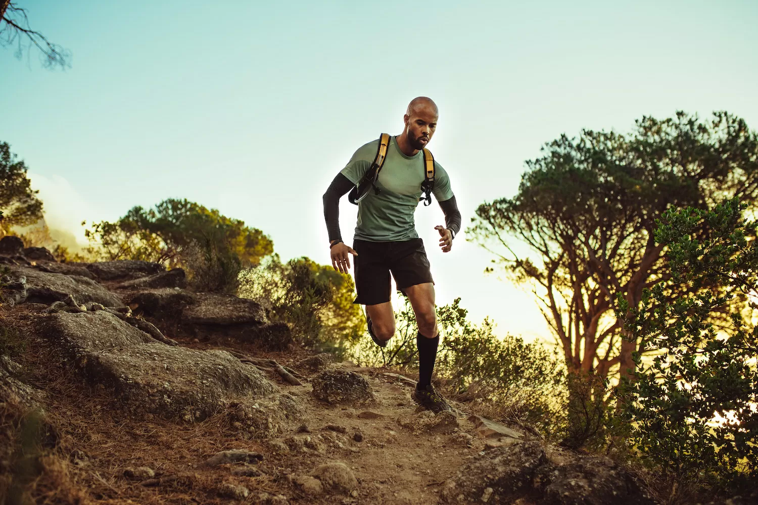 trail runner
