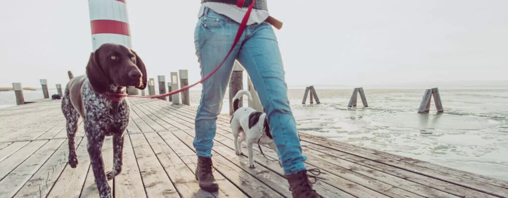 be active with The Training Room at New jersey